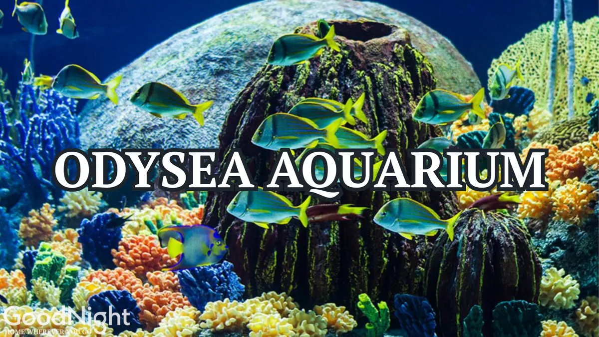 A vivid underwater view of colorful coral reefs, diverse species of fish, and interesting rock formations. The scene is playful and engaging, inviting families to explore marine life in an immersive, educational setting.